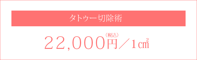 切除術22,000円(税込)／1cm