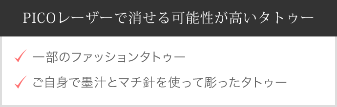 PICOレーザーで消せる可能性が高いタトゥー