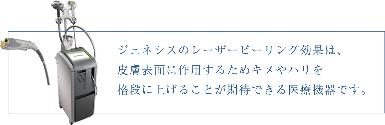 ジェネシスについて