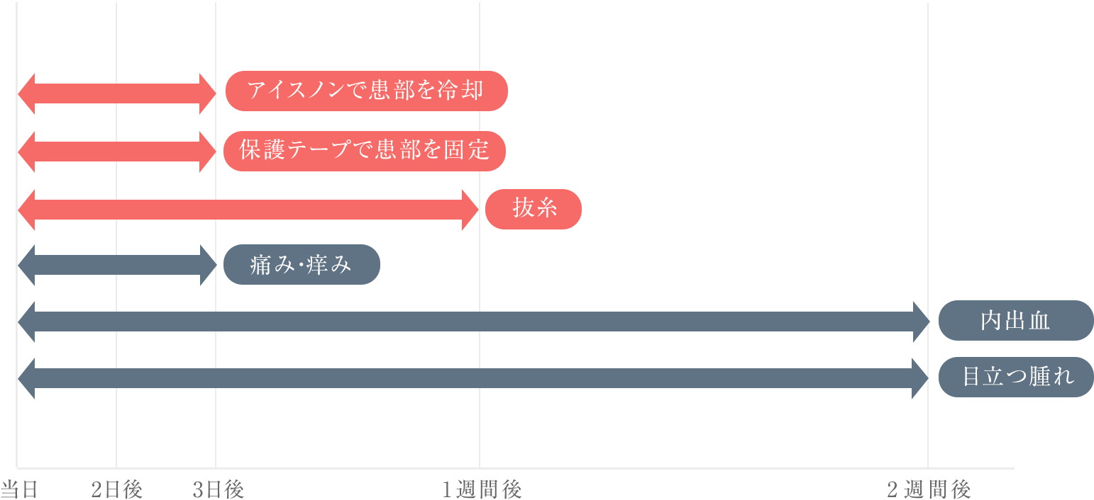 下眼瞼除皺術 ダウンタイム