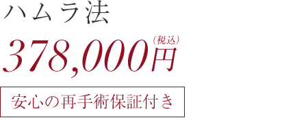 ハムラ法 378,000円
